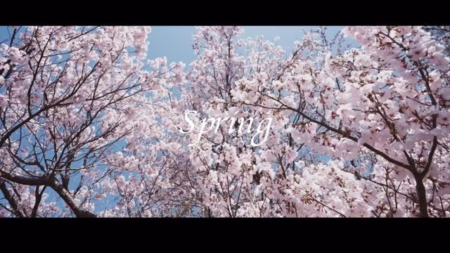 Spring Reflections at the Lake

#timelapse #miznohotel #mizunohotel #fujisan #mtfuji #kawaguchiko #amazingview #skybar #japantravels #hotel #livecamera #niceview #rooftopbar #nicehotel #湖のホテル　#富士山　#河口湖

 http://www.mzn.jp/
https://www.youtube.com/c/officialmiznohotel/live